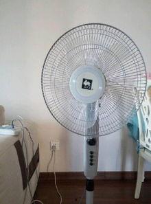 新国产风扇视频,创新设计引领夏日清凉风尚