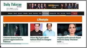 高清国产双色视频网站,探索视觉盛宴的无限可能