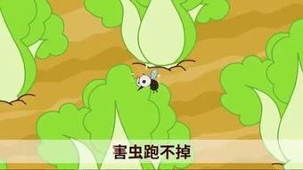 国产小青蛙视频,萌动心弦的治愈之旅