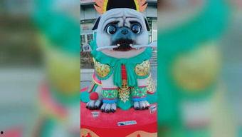 国产小青蛙视频,萌动心弦的治愈之旅