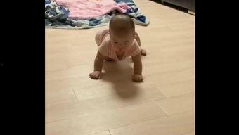 国产小青蛙视频,萌动心弦的治愈之旅