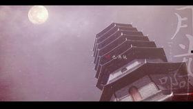 国产夜色郎在线视频,揭秘国产影视作品的独特魅力