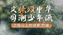 精品国产在线国产精品AV视频,探索激情与艺术的完美融合