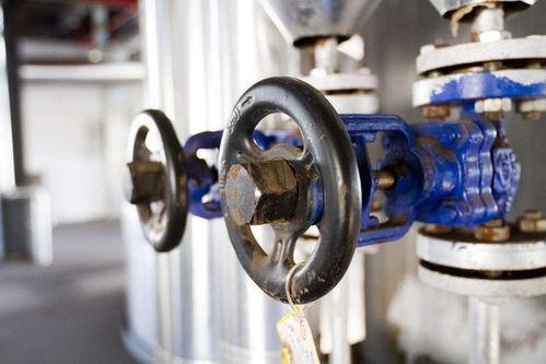 国产阀门评测视频播放网站,揭秘热门网站视频播放实力解析