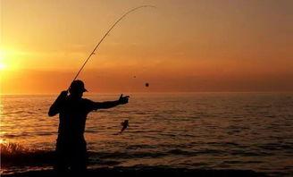 国产神竿钓鱼视频,视频揭秘钓鱼高手秘籍