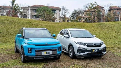 男子不买国产车视频播放