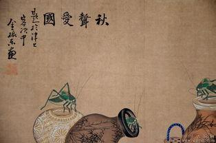 牲交视频在线观看国产