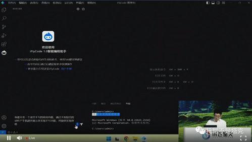 国产人在线生成视频,人在线视频生成引领潮流