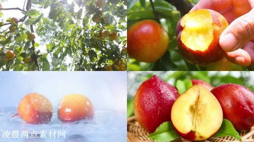 国产水果广告视频,尽享自然甘甜之旅