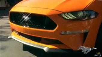 国产野马的视频,驾驭激情，驰骋未来