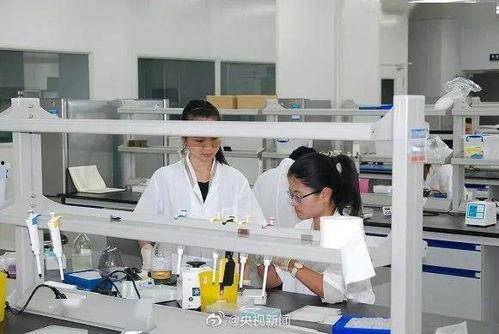 国产疫苗研究过程视频,揭秘疫苗诞生的科学之旅