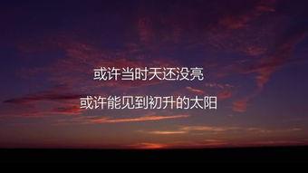 国产优秀励志视频下载