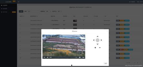 国产无插件视频直播,国产技术引领视频新潮流