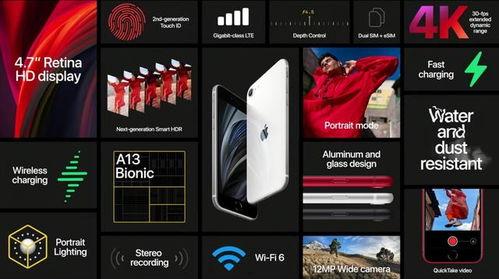 国产se_01短视频,探索科技与艺术的完美融合