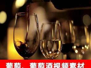 国产红酒宣传视频,品味非凡，传承匠心之作
