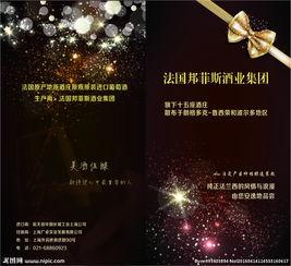 国产红酒宣传视频,品味非凡，传承匠心之作