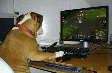 国产游戏搞笑骗局视频,揭秘网络虚拟世界的真实陷阱