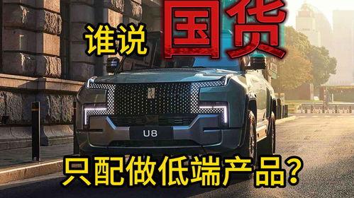 国产低端汽车视频,亲民价格下的驾驶体验解析