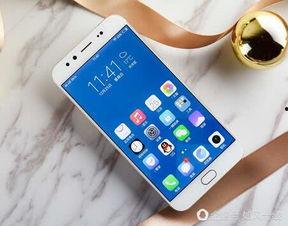 国产手机品牌大战视频,巅峰对决，谁主沉浮？